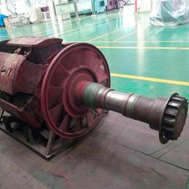 北京某變頻柜廠家試驗用電機T3200、1730-10KV轉(zhuǎn)子磁極線圈修復